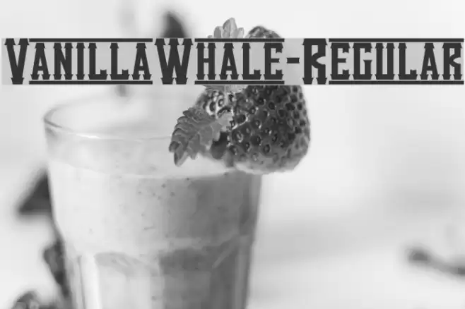 VanillaWhale-Regular Font examples
