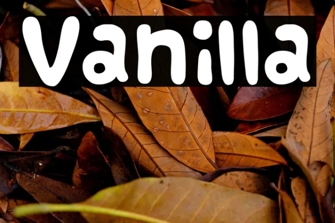 Vanilla Example 3