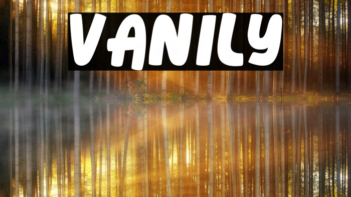 Vanily Font examples