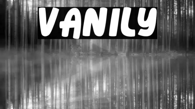 Vanily Fuentes examples