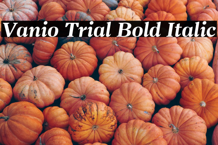 Vanio Trial Bold Italic Example 1