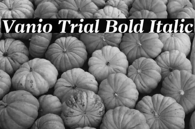 Vanio Trial Bold Italic Font examples