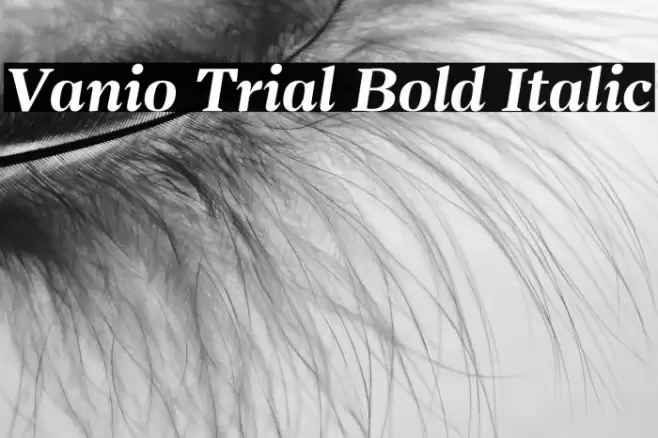 Vanio Trial Bold Italic Font examples