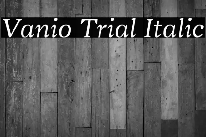 Vanio Trial Italic Font examples