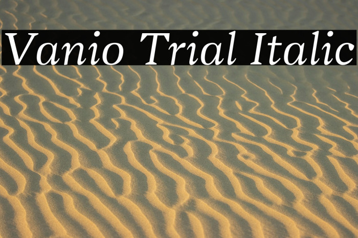 Vanio Trial Italic Example 3