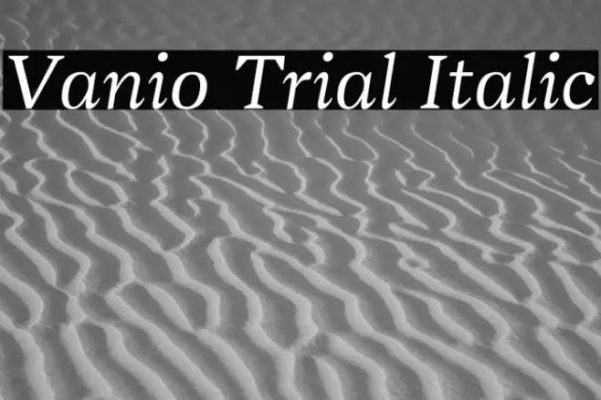 Vanio Trial Italic Font examples