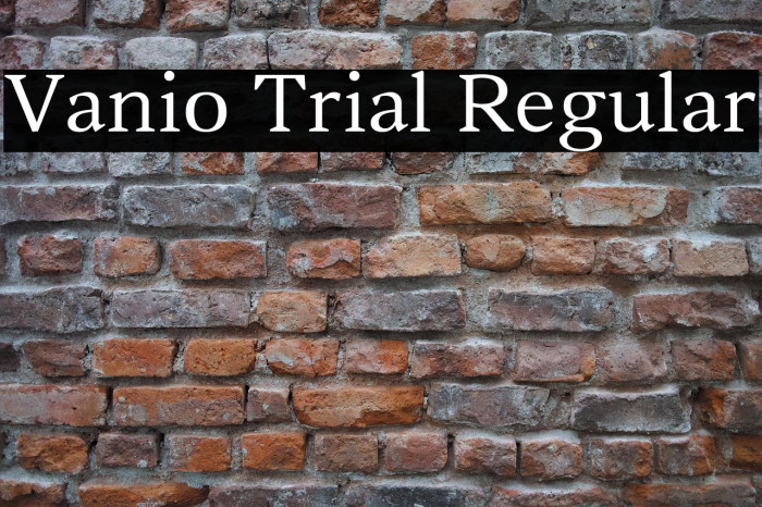 Vanio Trial Regular Example 1