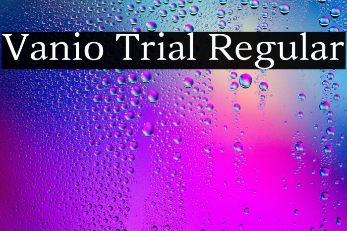 Vanio Trial Regular Example 3