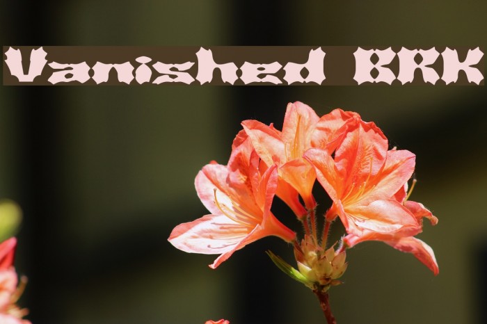Vanished BRK Font examples