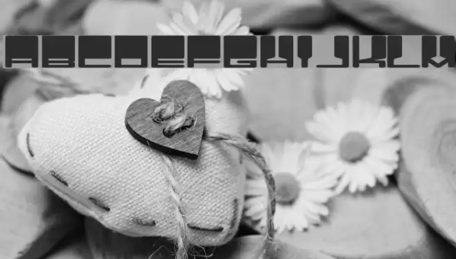 Vanishing Boy Font examples