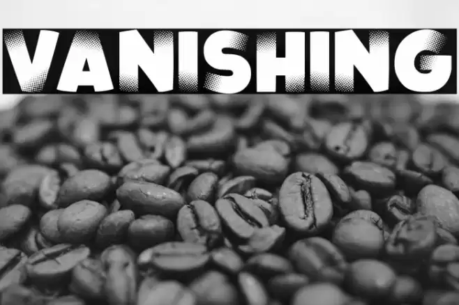 Vanishing Font examples