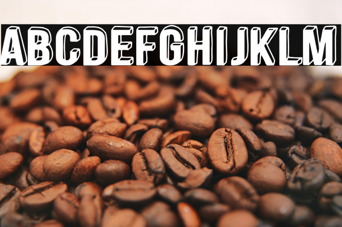 Vanitas Vanitatum Example 1