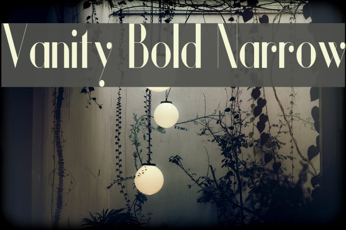 Vanity Bold Narrow Fuentes examples