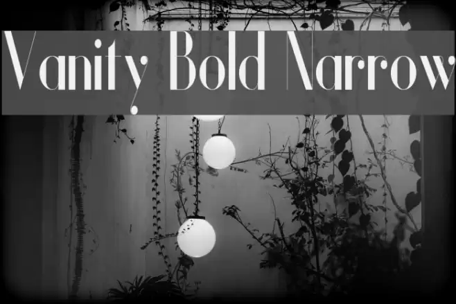 Vanity Bold Narrow Font examples