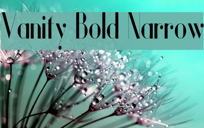 Vanity Bold Narrow Fuentes examples
