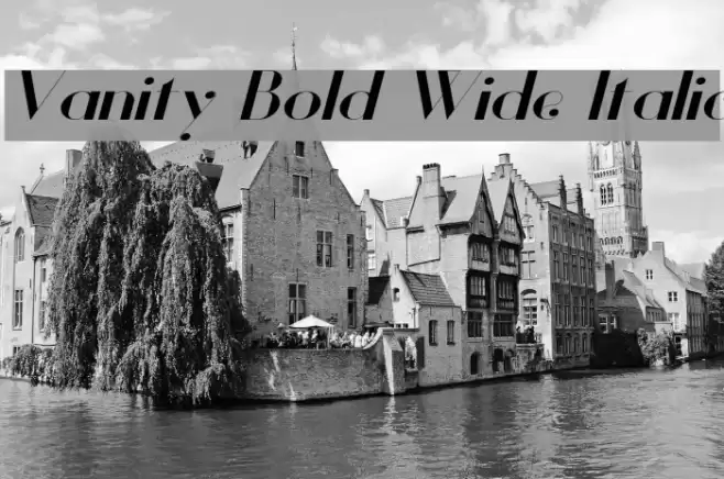 Vanity Bold Wide Italic Font examples