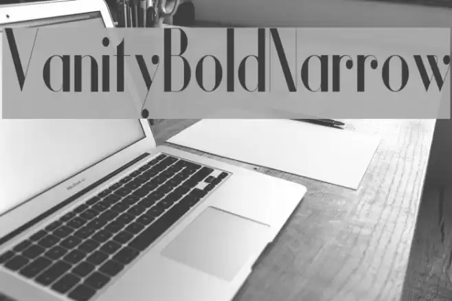 Vanity-BoldNarrow Font examples
