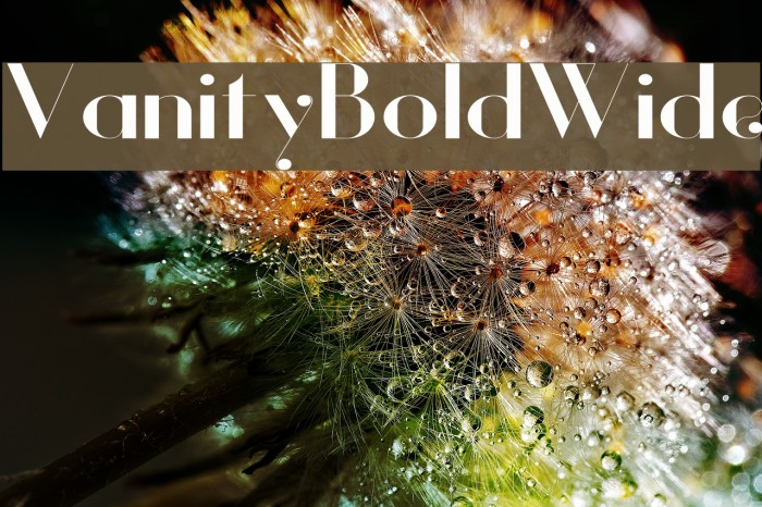 Vanity-BoldWide Font examples