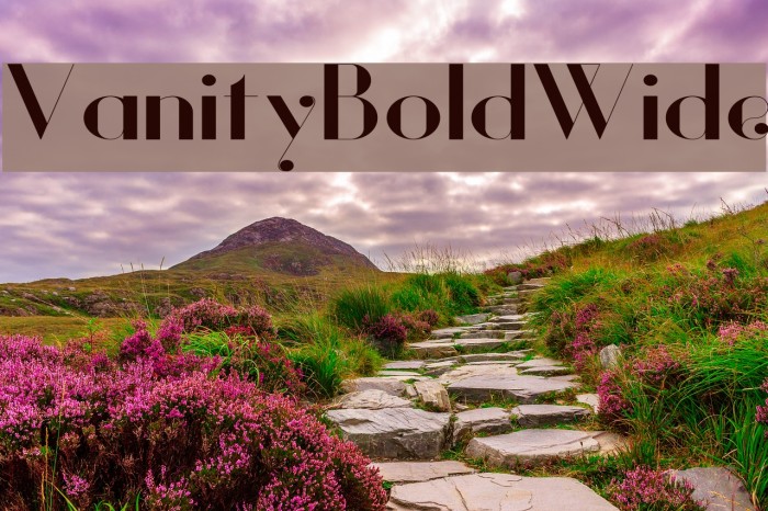 Vanity-BoldWide Font examples