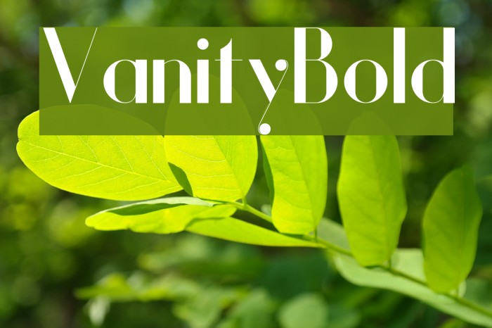 Vanity-Bold Font examples