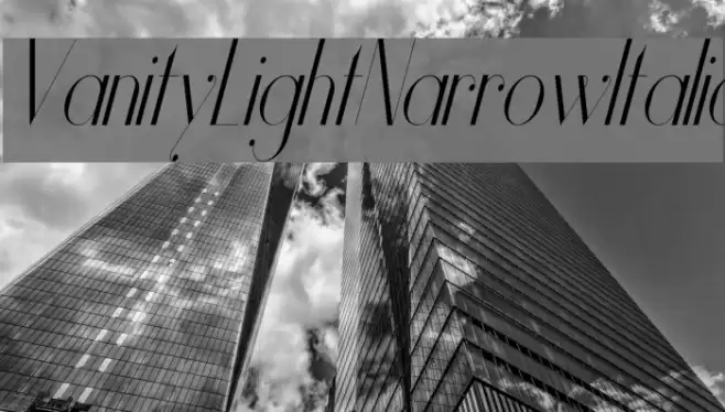 Vanity-LightNarrowItalic Font examples