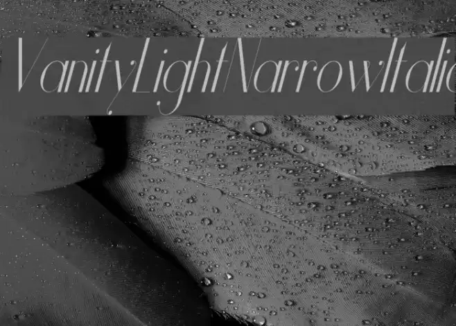 Vanity-LightNarrowItalic Font examples