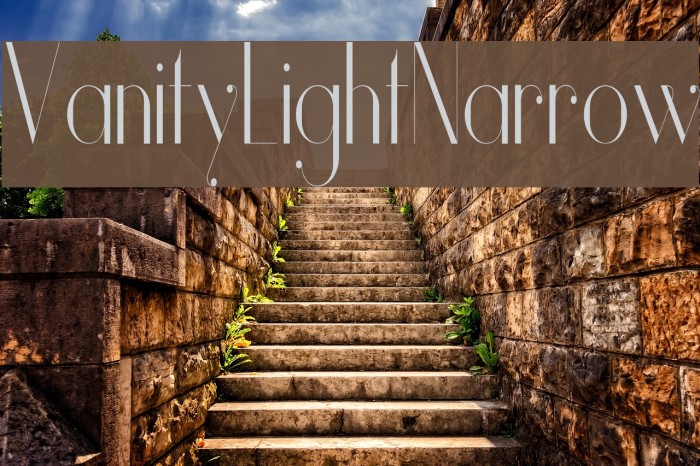 Vanity-LightNarrow Font examples