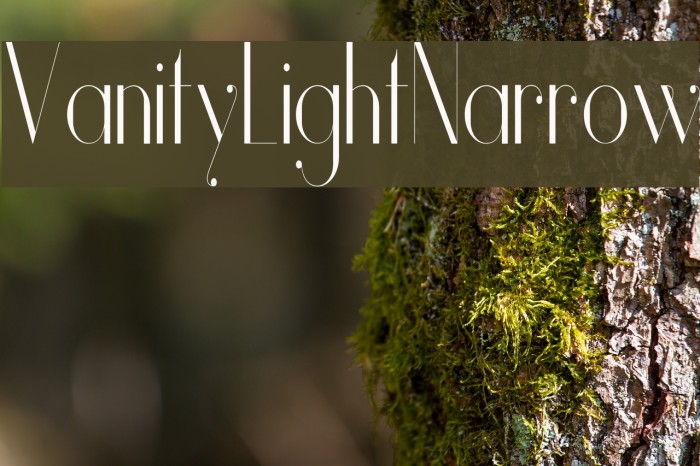 Vanity-LightNarrow Font examples