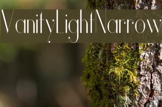 Vanity-LightNarrow Example 2