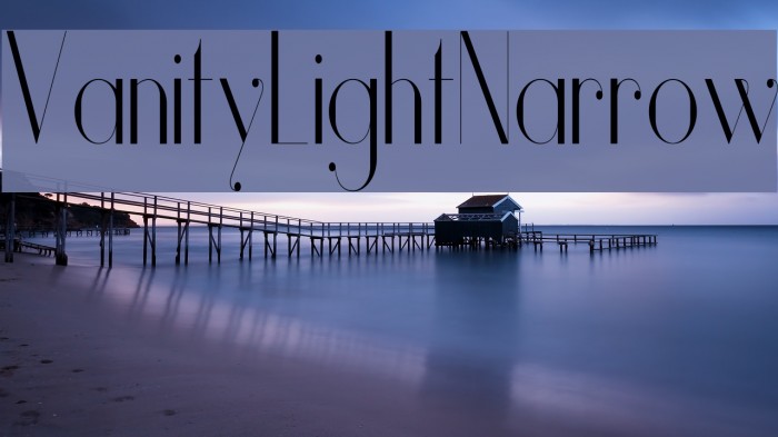 Vanity-LightNarrow Font examples