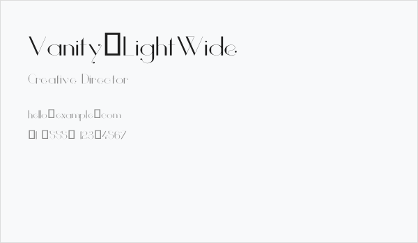 Vanity-LightWide Business Card