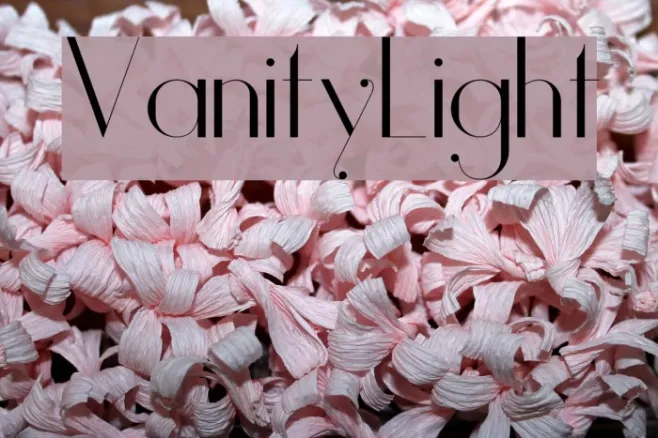 Vanity-Light Example 1
