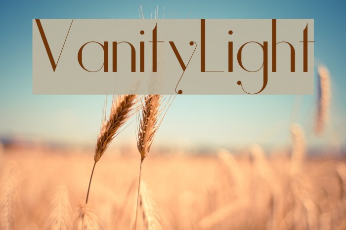 Vanity-Light Font examples