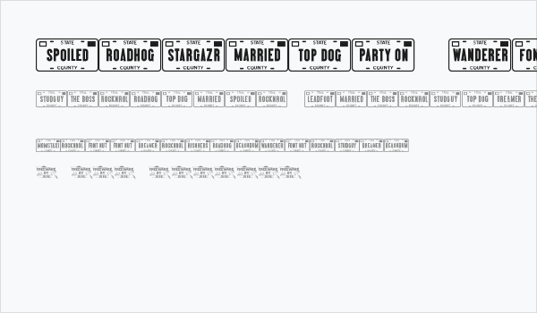 Vanity Plates JL Business Card