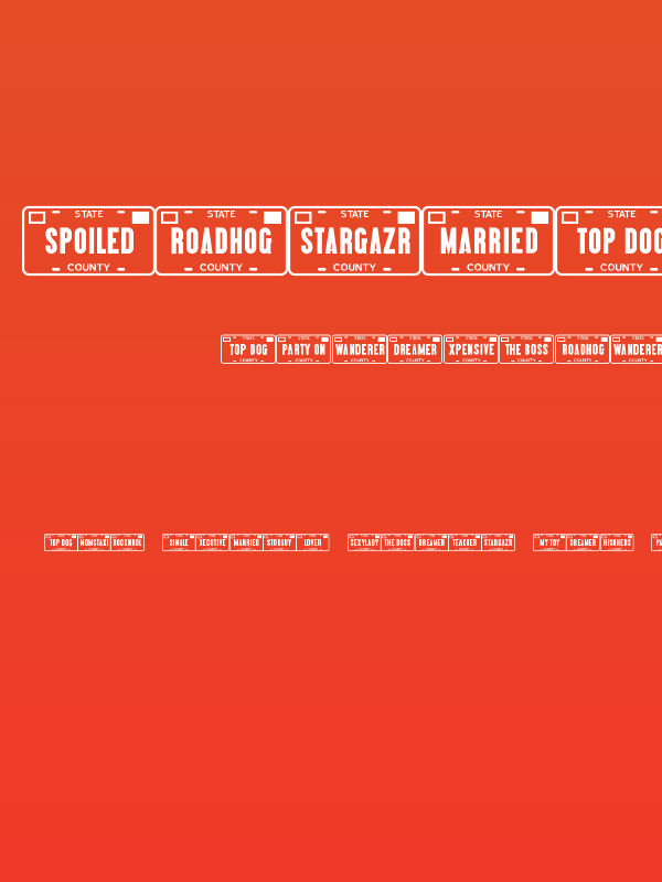 Vanity Plates JL Poster