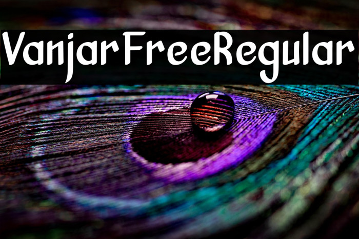 VanjarFreeRegular Example 2