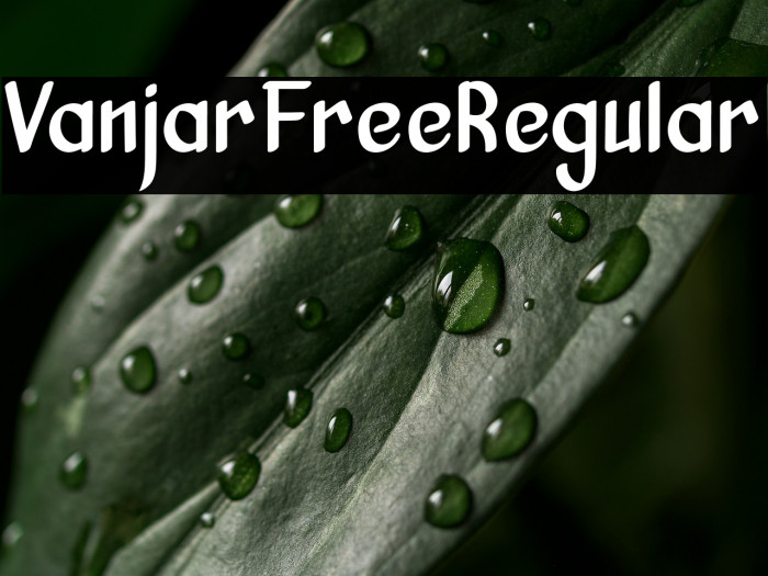 VanjarFreeRegular Example 3