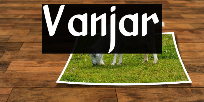 Vanjar Font examples