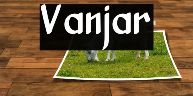 Vanjar Example 1