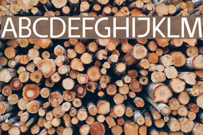 Vanlose BookType Normal Font examples