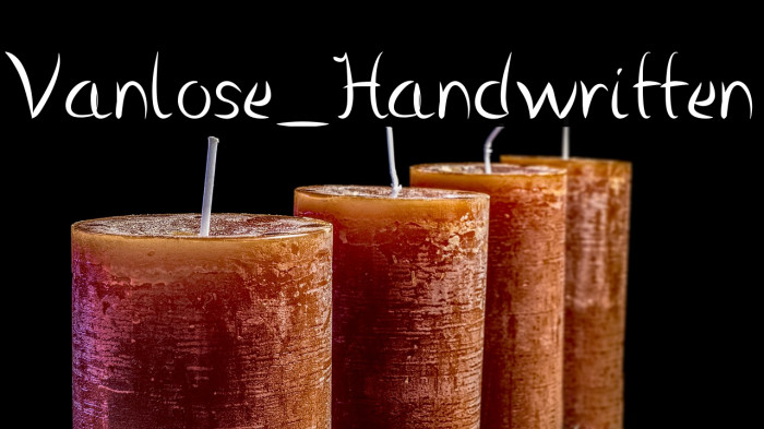 Vanlose_Handwritten Example 2