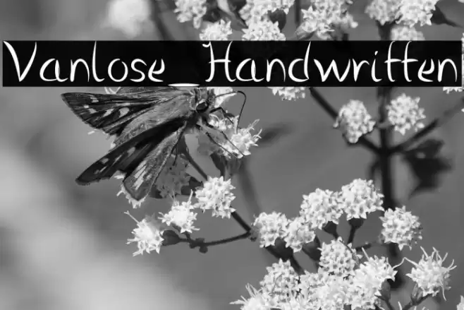 Vanlose_Handwritten Font examples
