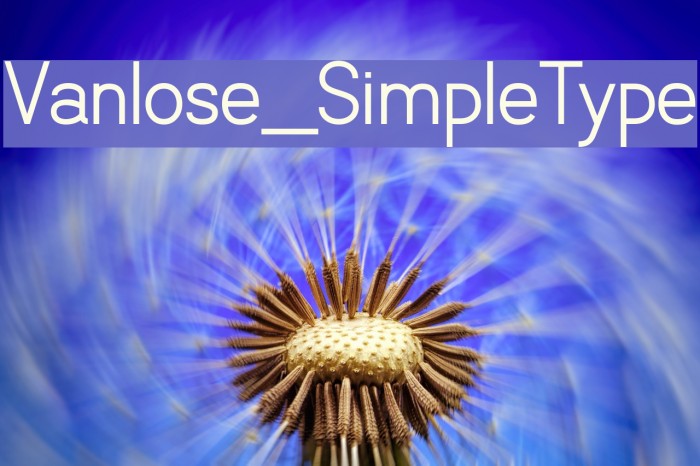 Vanlose_SimpleType Font examples
