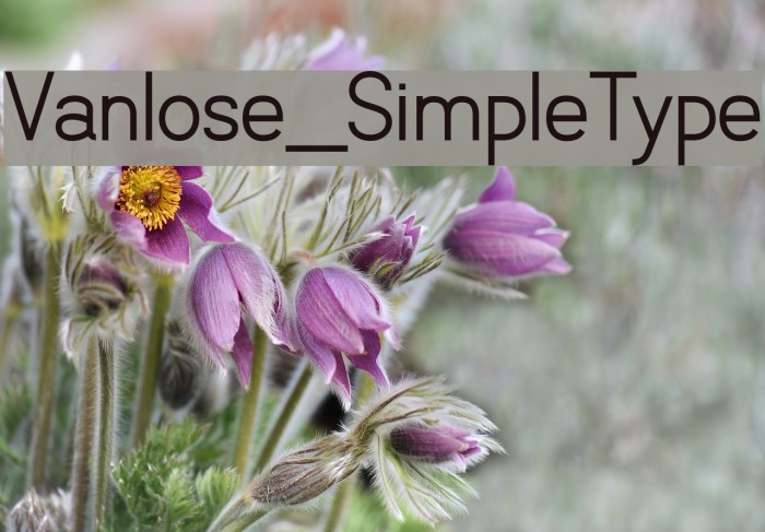 Vanlose_SimpleType Font examples