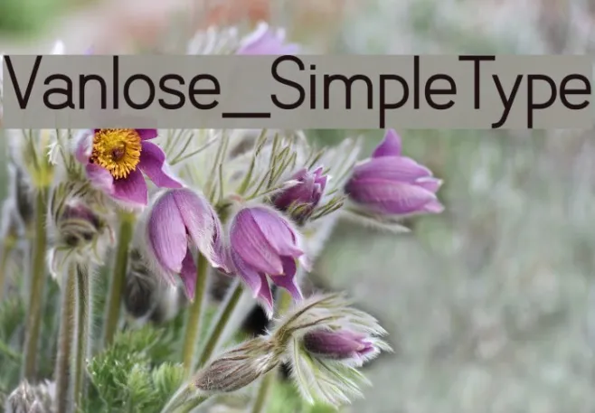 Vanlose_SimpleType Example 3