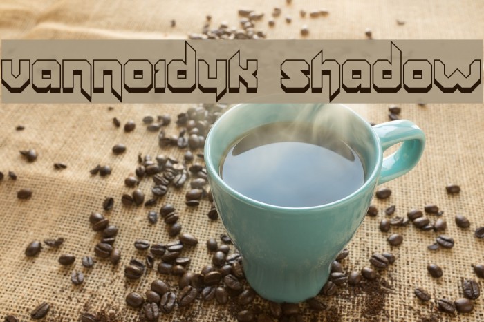 Vannoidyk Shadow Example 1