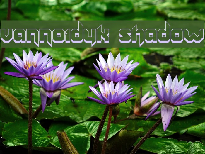 Vannoidyk Shadow Example 2