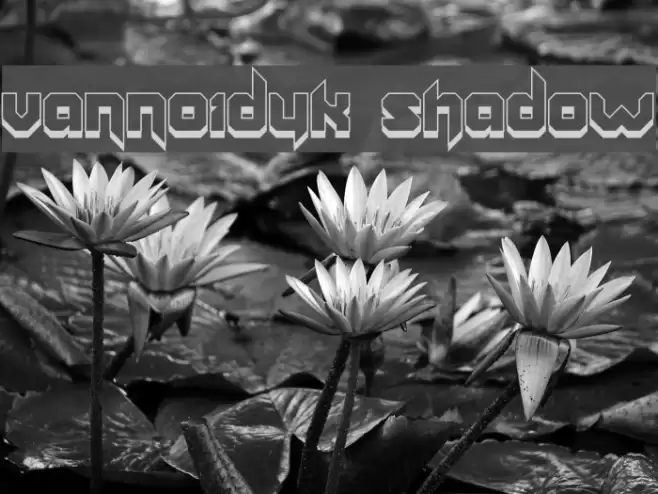 Vannoidyk Shadow Font examples