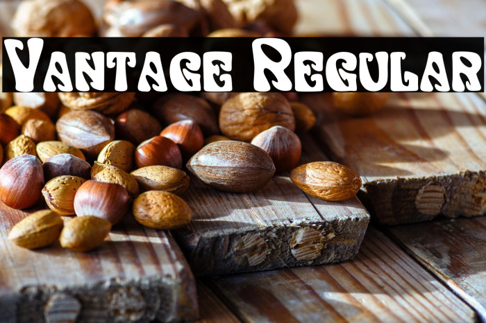 Vantage Regular Font examples