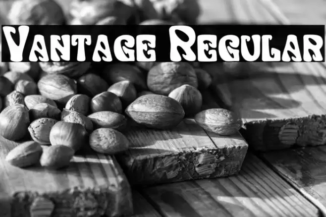 Vantage Regular Caratteri examples